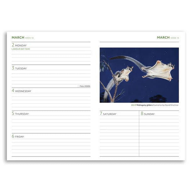 geo 2026 AG 40TH ANNIVESARY DIARY