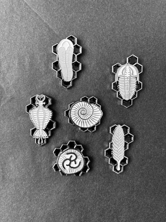 SAM Fossil Pin (Assorted Designs)