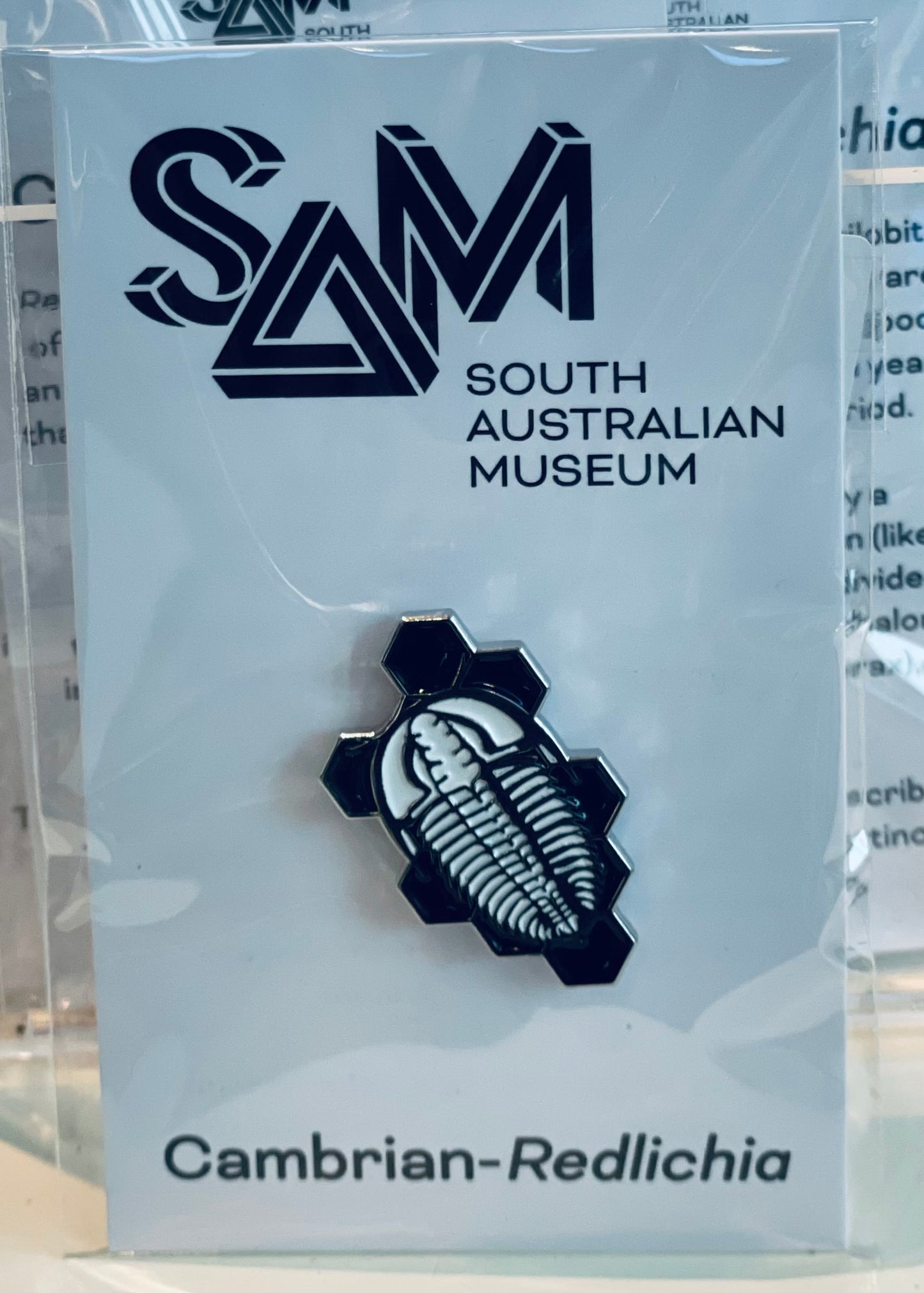 sam TRILOBITE PIN