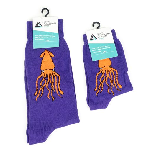 Squid Socks – South Australian Museum Gift Shop